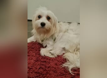 Wer hilft Lubert Vertrauen aufzubauen?