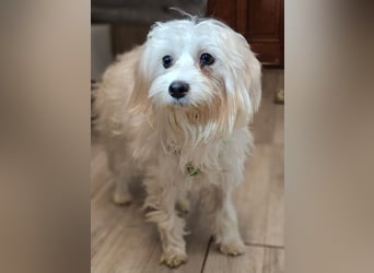 Wer hilft Lubert Vertrauen aufzubauen?