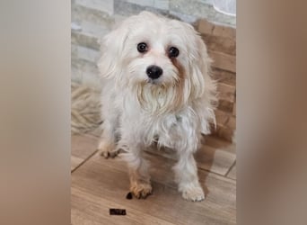 Wer hilft Lubert Vertrauen aufzubauen?