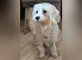 Wer hilft Lubert Vertrauen aufzubauen?