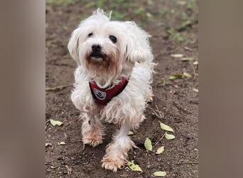 Isabell hat ein liebevolles Wesen