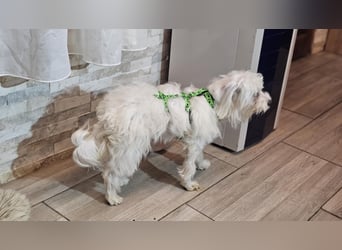 Wer hilft Lubert Vertrauen aufzubauen?