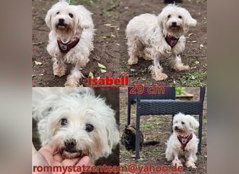 Isabell hat ein liebevolles Wesen