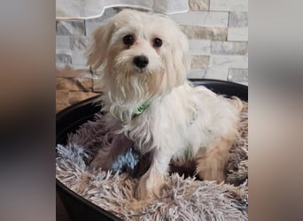 Wer hilft Lubert Vertrauen aufzubauen?