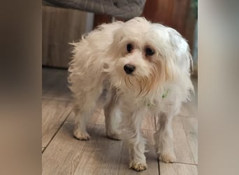 Wer hilft Lubert Vertrauen aufzubauen?