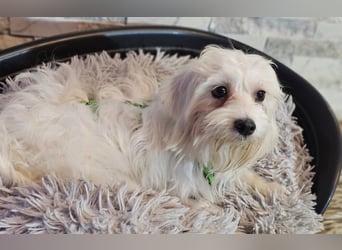 Wer hilft Lubert Vertrauen aufzubauen?