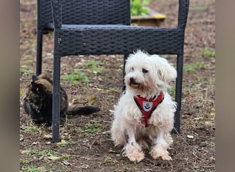 Isabell hat ein liebevolles Wesen