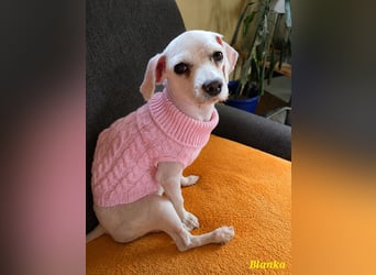 Kleine Blanka freut sich auf Deinen Besuch