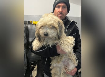 Monty sucht sein Glück