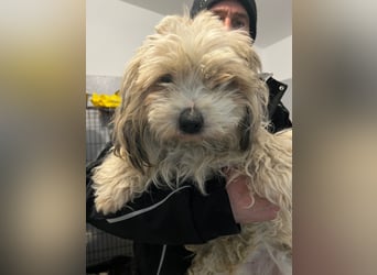 Monty sucht sein Glück