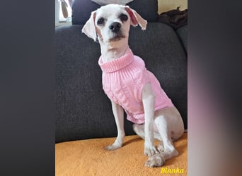 Kleine Blanka freut sich auf Deinen Besuch