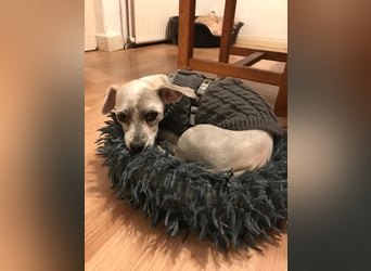 Fibi freut sich auf Deinen Besuch