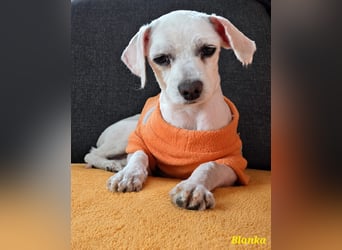 Kleine Blanka freut sich auf Deinen Besuch