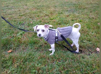 Fibi freut sich auf Deinen Besuch