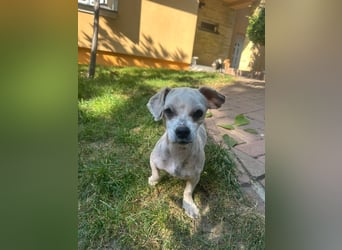 Kleine Polly freut sich auf Deinen Besuch