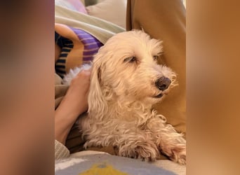 Kleine Lilou ist so anhänglich