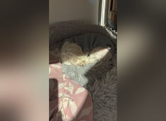 Kleine Lilou ist so anhänglich