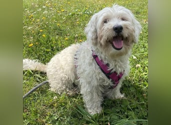 Kleine Lilou ist so anhänglich