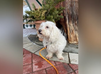 Kleine Lilou ist so anhänglich