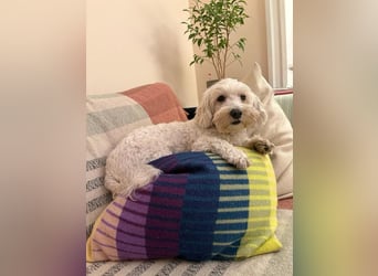 Kleine Lilou ist so anhänglich