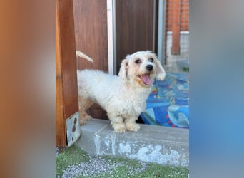 Soleil - schüchtern, neugierig