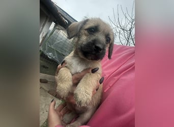 Elza, geboren 13.10.2025 sucht ihr Körbchen