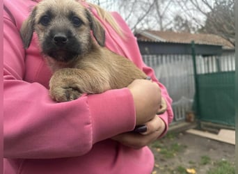 Elza, geboren 13.10.2025 sucht ihr Körbchen