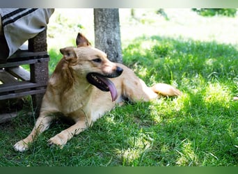 Butterfly – Bereit für die Metamorphose