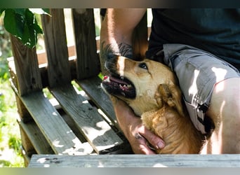 Butterfly – Bereit für die Metamorphose