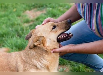 Butterfly – Bereit für die Metamorphose