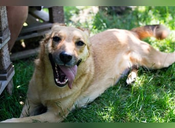 Butterfly – Bereit für die Metamorphose