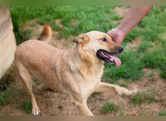 Butterfly – Bereit für die Metamorphose