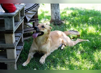 Butterfly – Bereit für die Metamorphose