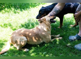 Butterfly – Bereit für die Metamorphose