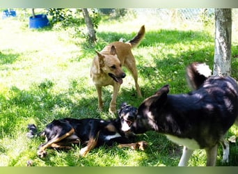 Butterfly – Bereit für die Metamorphose