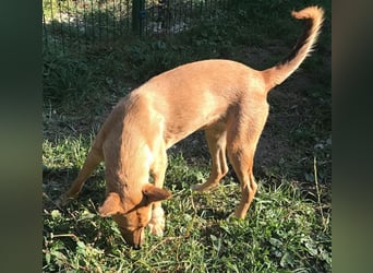 Butterfly – Bereit für die Metamorphose