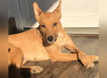 Butterfly – Bereit für die Metamorphose