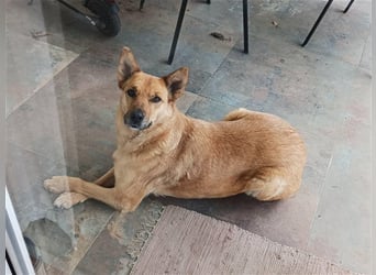 Butterfly – Bereit für die Metamorphose