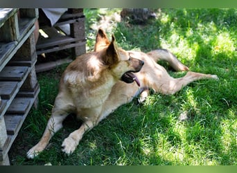 Butterfly – Bereit für die Metamorphose