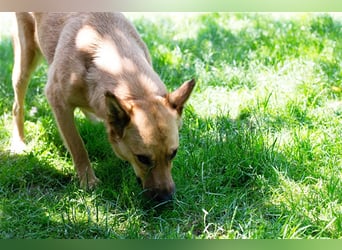 Butterfly – Bereit für die Metamorphose