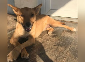 Butterfly – Bereit für die Metamorphose