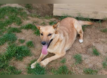 Butterfly – Bereit für die Metamorphose