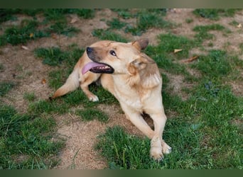 Butterfly – Bereit für die Metamorphose