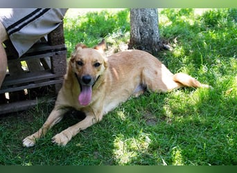 Butterfly – Bereit für die Metamorphose