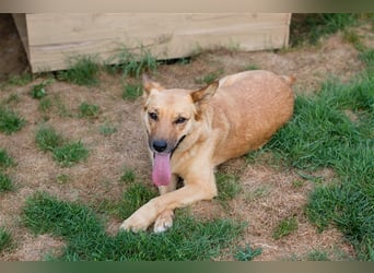 Butterfly – Bereit für die Metamorphose