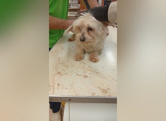 Szena – kleiner Schatz sucht ein Zuhause 
