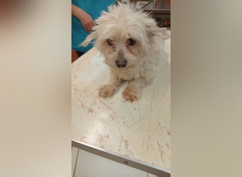 Szena – kleiner Schatz sucht ein Zuhause 