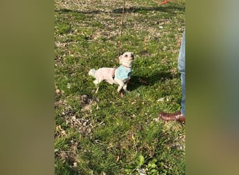 Bounty, Pflegestelle 48249 Dülmen