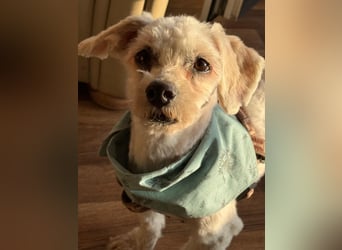 Bounty, Pflegestelle 48249 Dülmen