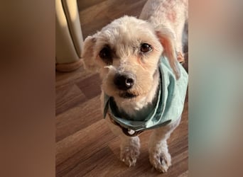 Bounty, Pflegestelle 48249 Dülmen